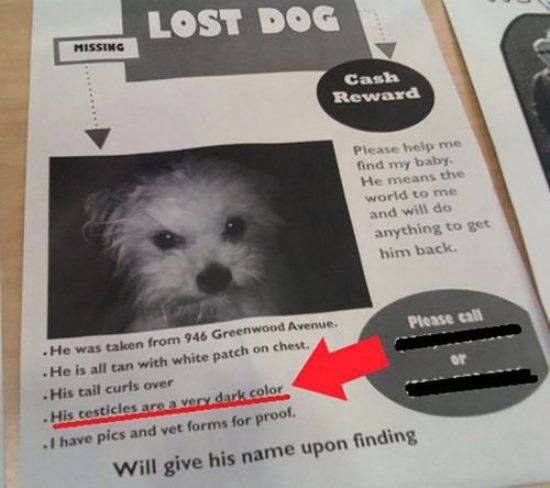 17.) There's no such thing as "TMI" when you're looking for your lost dog.