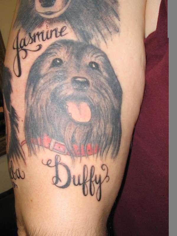 I'm not at all surprised to learn that people would tattoo their pet's face to their bodies, but using <a href="https://www.tattoobite.com/pet-dog-memorial-tattoo/" target="_blank">the ashes as ink</a> seems like something a cult would do.