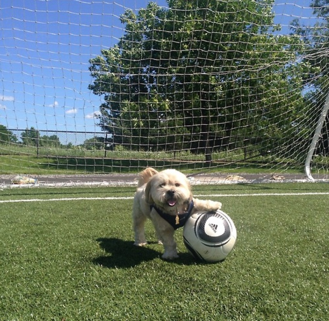 14.) Playing soccer.