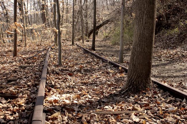 Goodbye railroad tracks. Nature is back in town.