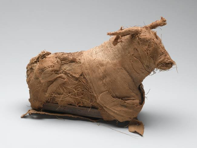 This bull isn't exactly mummified, but its bones were used to construct a model of a bull from reeds and cloth. 1075-332 BCE.