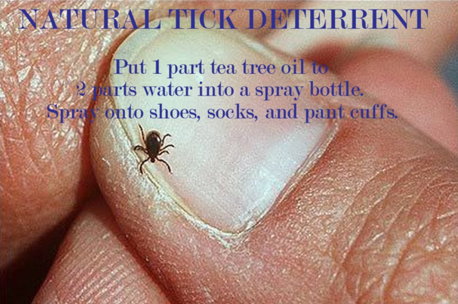 9.) Natural Tick Deterrent