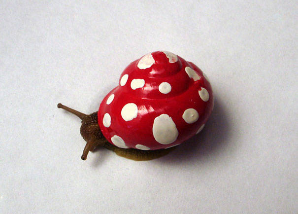 This snail wanted to disguise itself as a poisonous mushroom for safety.