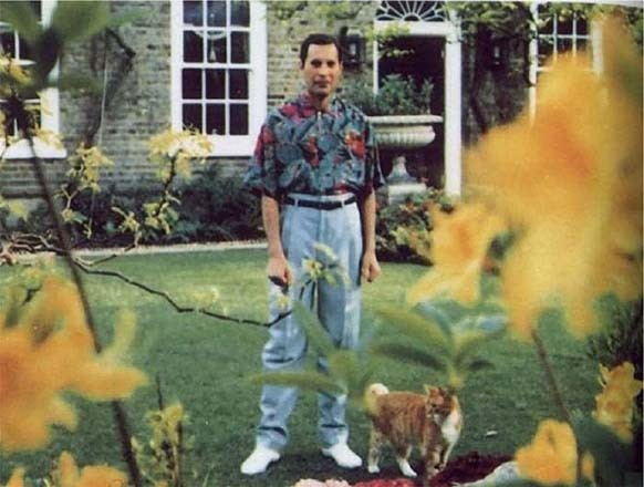 1.) This is the last picture taken of Freddy Mercury in 1991, before he died of bronchial pneumonia resulting from AIDS.