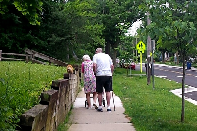 11.) This couple who still takes long walks together (and bring their cat along).