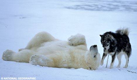 "I'm pooped - let's just lay down and snuggle for a little."