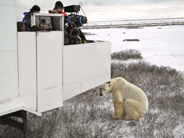 Some bears haven't adjusted their biological clocks, so some don't wake up late enough and starve.