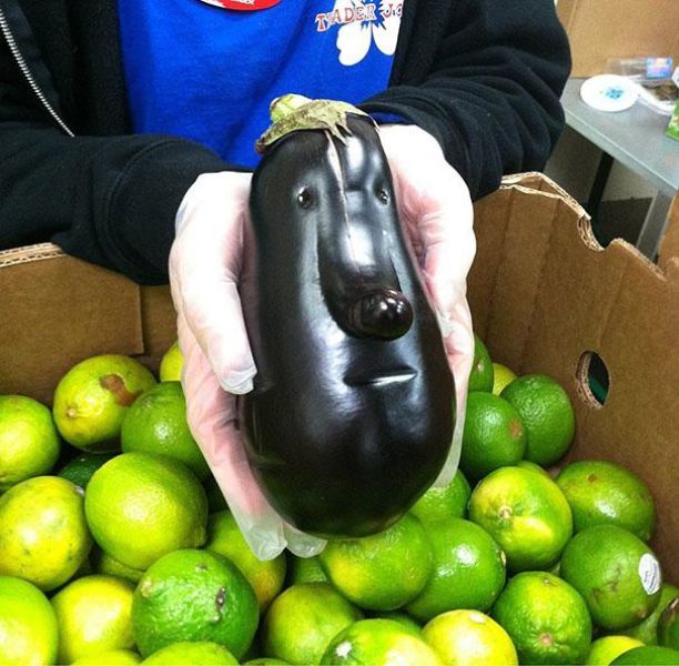 25. This eggplant is entirely too solemn.