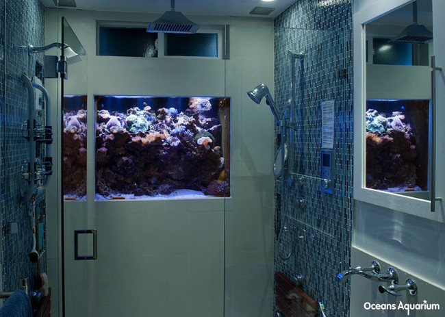 23.) Aquarium Shower.