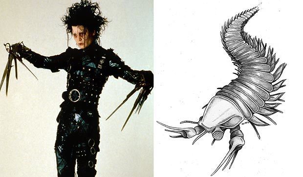 Johnny Depp has a 500 million year old fossil named  after him because its lobster claws resemble those of Edward Scissorhands.