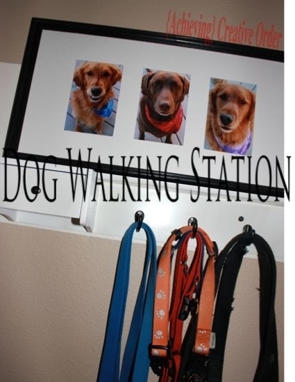 17. Keep your multi-dog life organized by creating a walking station right next to the front door.