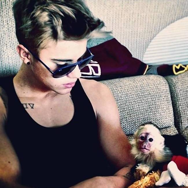 Bieber's former primate, Mally