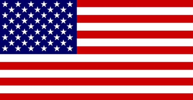 50 stars (1960-present) Woo baby that's a good looking flag! Americaaaa!!! *fireworks* *hot dogs* *Bruce Springsteen*