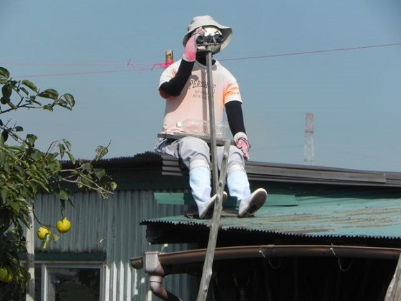 He's become so popular in fact that a museum in Japan heard about his interesting work...