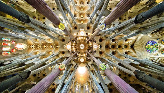 A dizzying cathedral ceiling