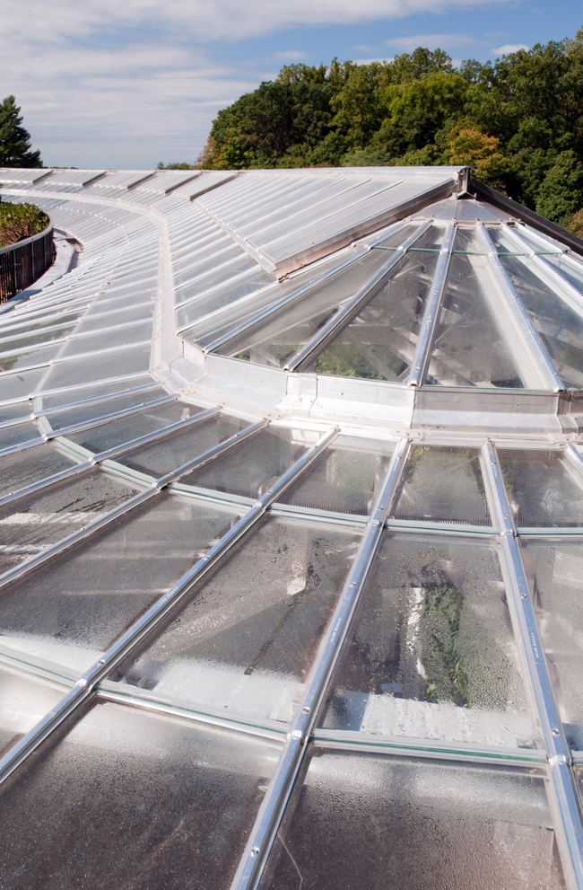 This bathroom is just one oversized greenhouse.