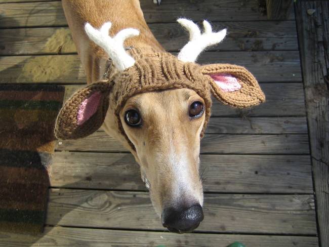 Antler Hat