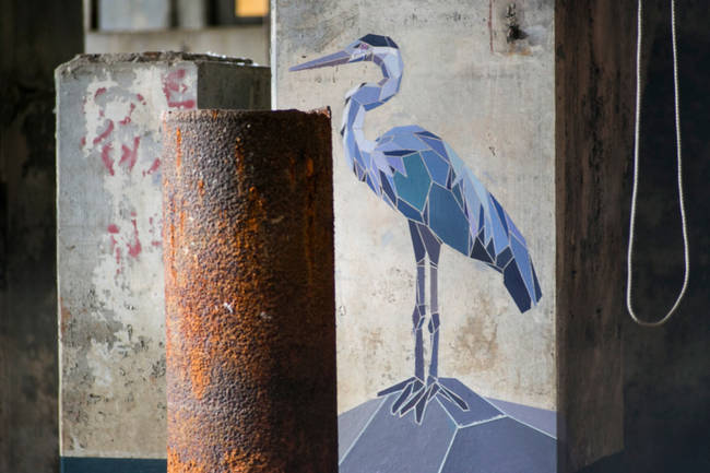 A Great Blue Heron in the Moran Plant.