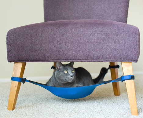 9.) Cat Hammock