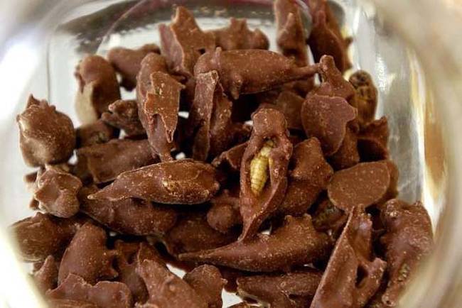 This bowl of chocolates looks delicious until you realize that they're actually chocolate covered grasshoppers.