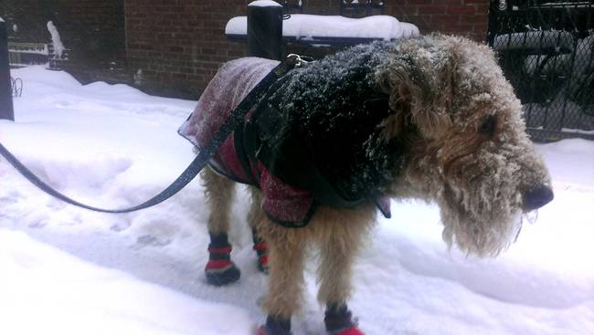 Booties are <em>so in</em> right now - especially when paired with a matching sweater.