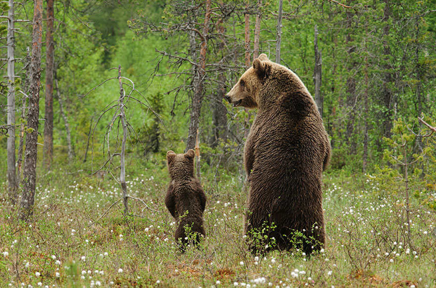 25.) That’s one proud parent.