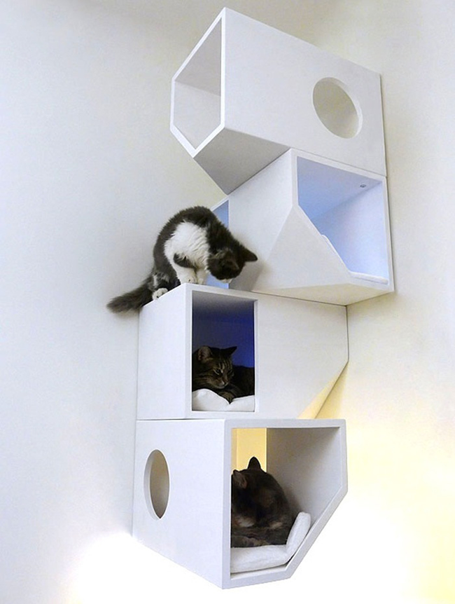 8.) These kitty shelves.