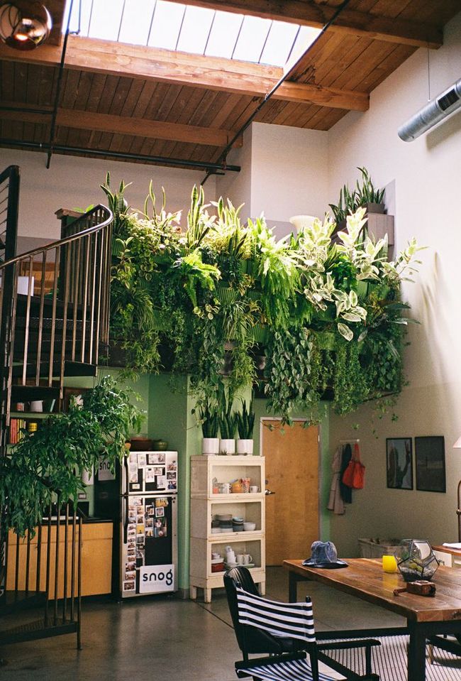 9) Living Wall Or Staircase: <a href="https://www.treehugger.com/green-food/5-simple-ways-to-create-a-diy-living-wall.html">Full Instructions</a>.