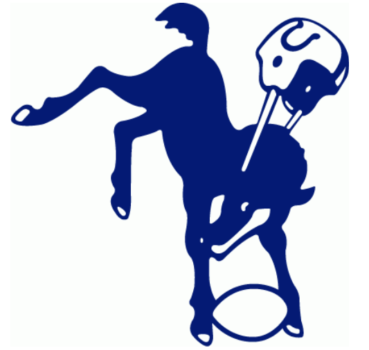 23.) I don't think that helmet really complies with the NFL's safety rules. Get your act together, old Colts logo.