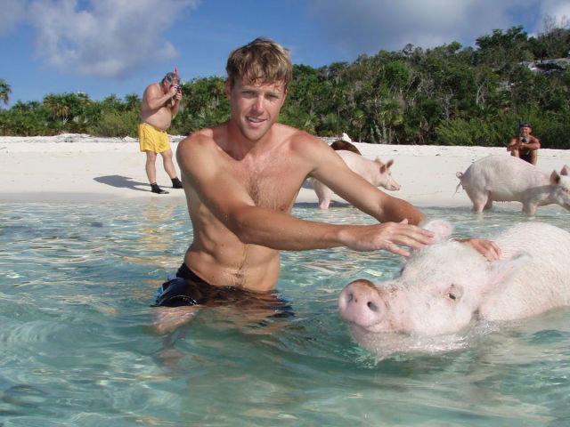 9. <a href="https://www.bahamas.co.uk/things-to-do/bahamas-water-activities/swimming-with-pigs" target="_blank">Pig Beach, Bahamas</a>