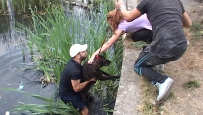 After getting pulled out, this one rushed to find his companion before he can shake off the water.