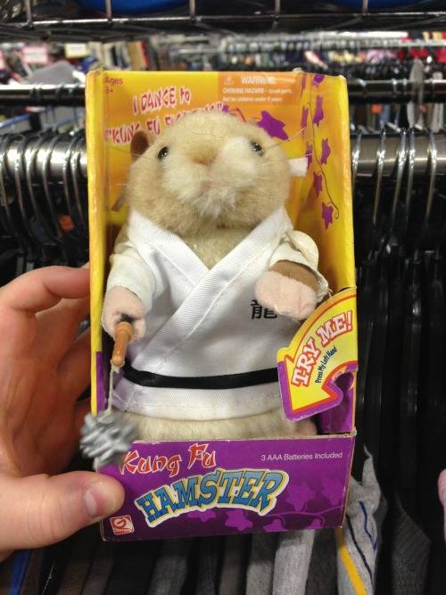 I see nothing wrong with this. I would definitely buy Kung Fu Hamster and he would protect my home.