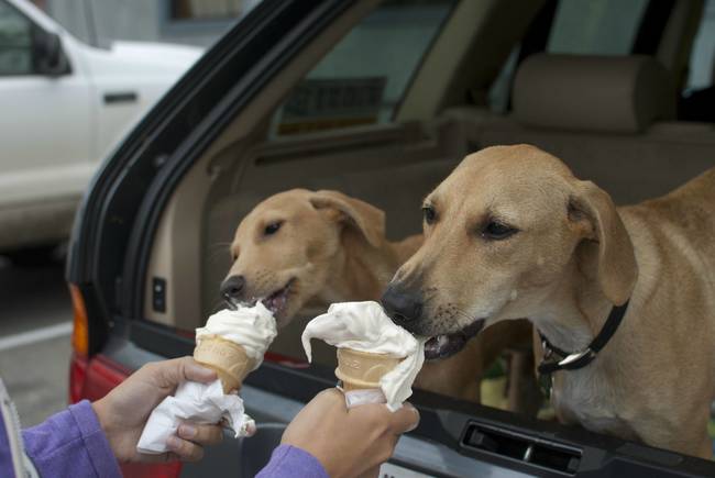 Just because it's cold outside doesn't mean you can't go on a romantic ice cream date!