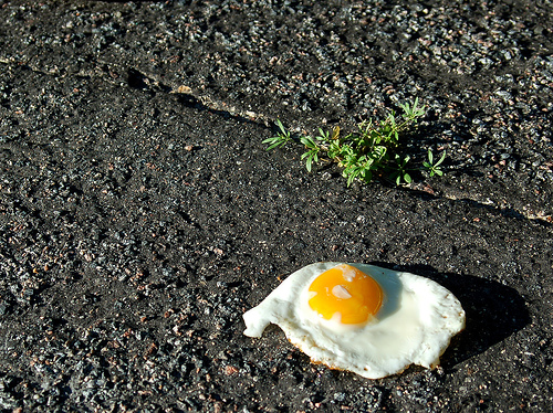 11.) To cook an egg on a sidewalk, the sidewalk needs to be around 158 degrees.