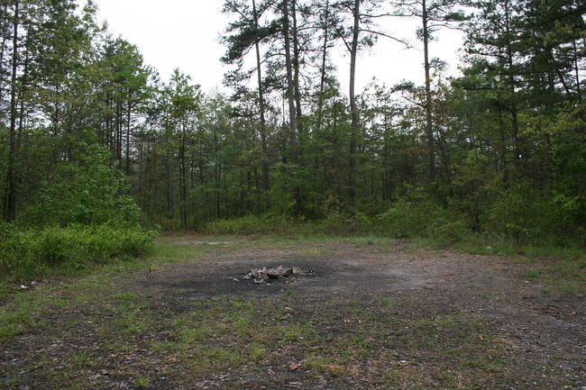 4.) Devil's Tramping Ground, North Carolina.