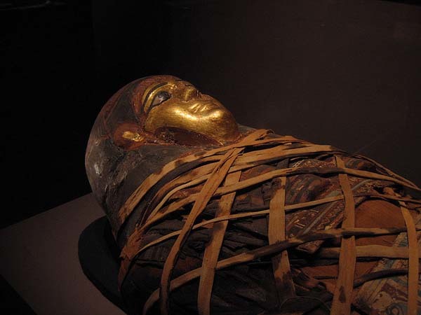 9.) Ancient peoples thought the brain wasn’t important as the stomach and heart. When mummifying people, Egyptians would pull the brain out through the nose.