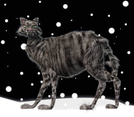 Iceland - Those who don't get any new clothes before Christmas Eve live in fear of being devoured by the Yule Cat. This holiday cat is said to feast on those who are less fortunate.