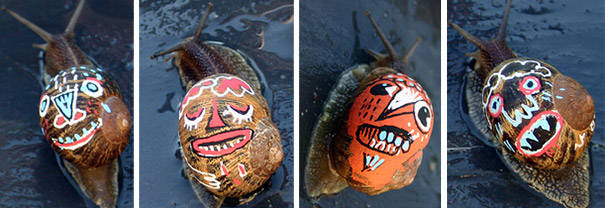 A collection of snails whose paint jobs mimic the "eye spot" defense found in nature. Only with more flair.