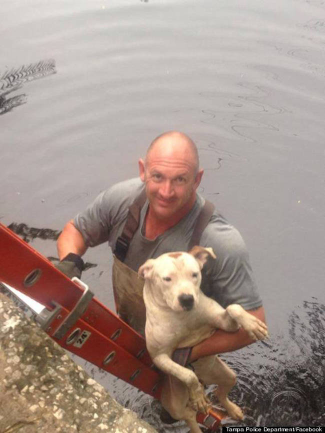 With his rescuer, officer Randy Lopez. The poor pup luckily only suffered a few bug bites and some slightly bloody paws from his escape attempts.