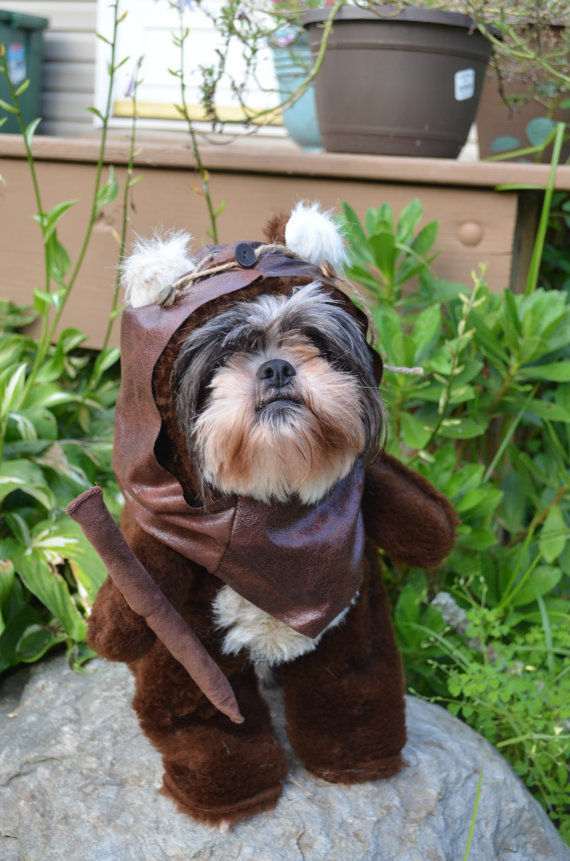 Ewoks