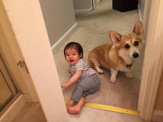 They've learned to open doors. While he's in the bathroom.