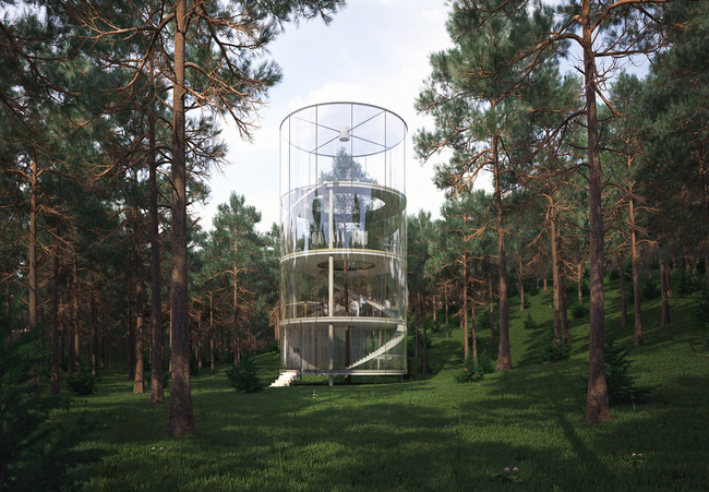 2. The glass tree house project