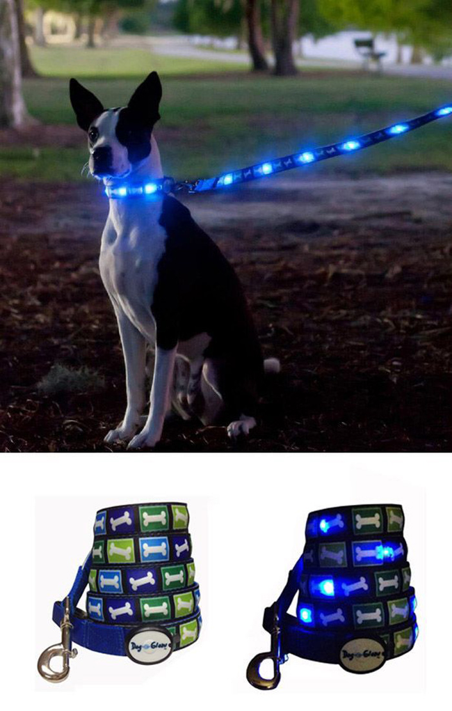 17.) Light Up Leash