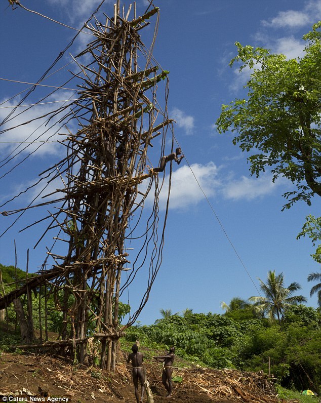 It's said that land diving is the spiritual predecessor to bungee jumping.