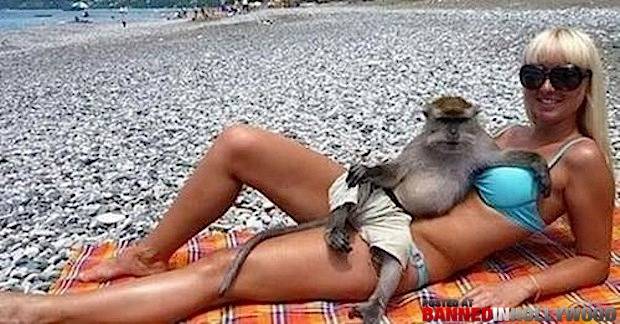 9.) At least this monkey is wearing pants, I guess.