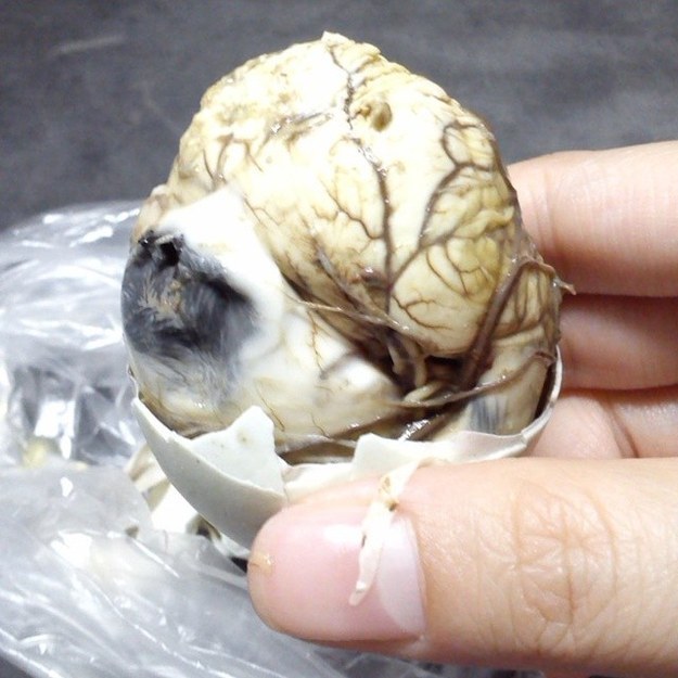 19. The adventurous eater can try some balut: the delicacy of a fertilized egg embryo.