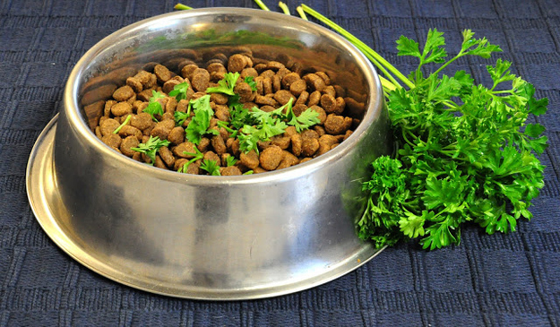 30. Sprinkle parsley on your dog’s food for fresher breath.