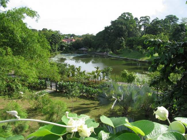 Singapore Botanic Gardens, Singapore