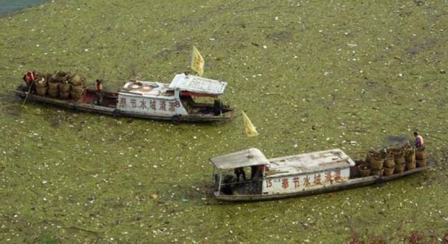 Garbage clogged waterway.