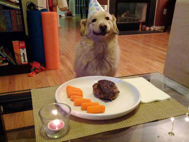 A special day for a special pup.